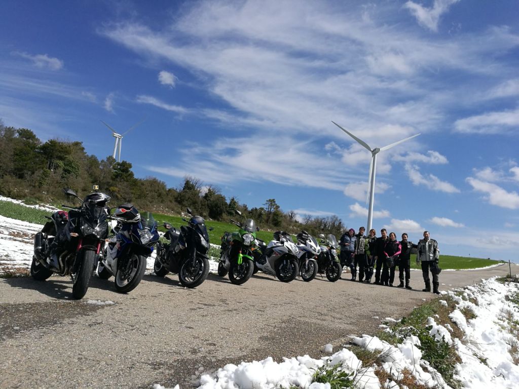 Ronda Anoia