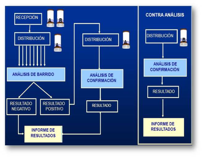 Imagen proceso analisis