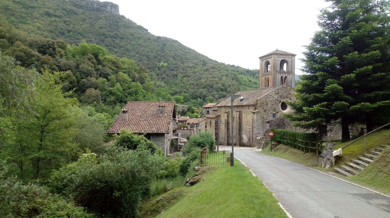 IMG-3387
