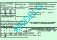 Modelo seguro internacional carta verde