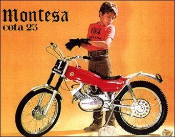 Montsea cota25