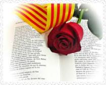 la_rosa_de_sant_jordi